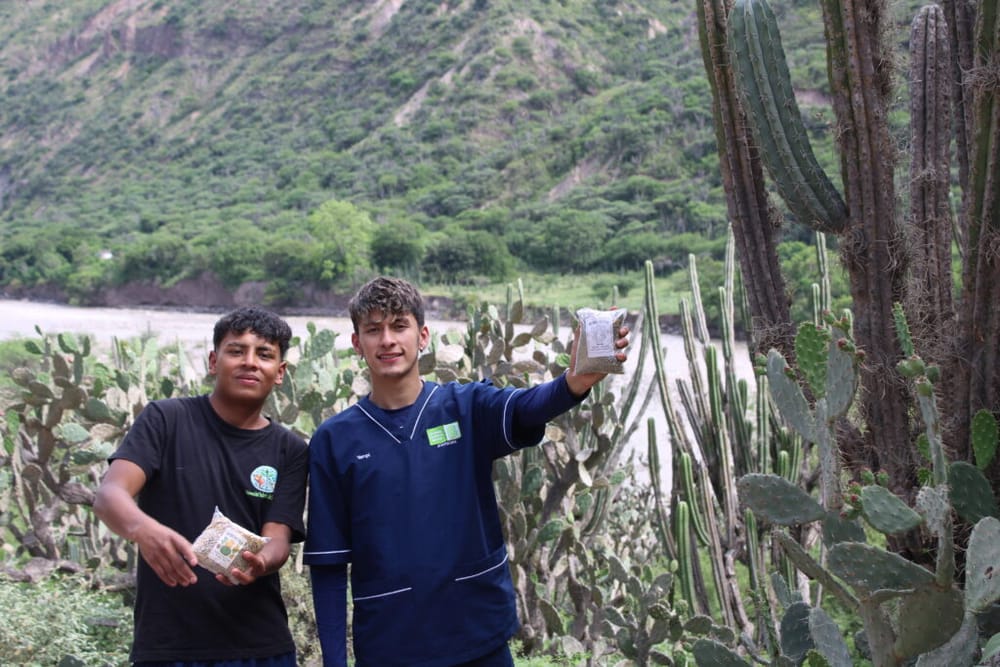 Del cactus al plato de los animales: innovación estudiantil en la UIS Málaga imagen de la publicación