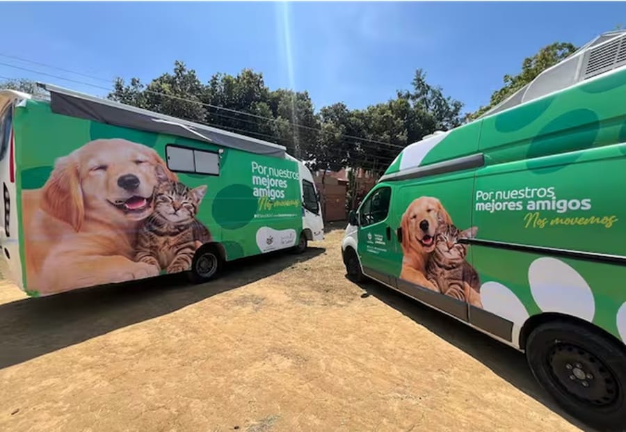Habilitada plataforma digital para adoptar mascotas vía internet en Bucaramanga imagen de la publicación