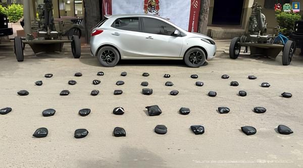 Enviada a prisión pareja con más de 120 millones en cocaína imagen de la publicación