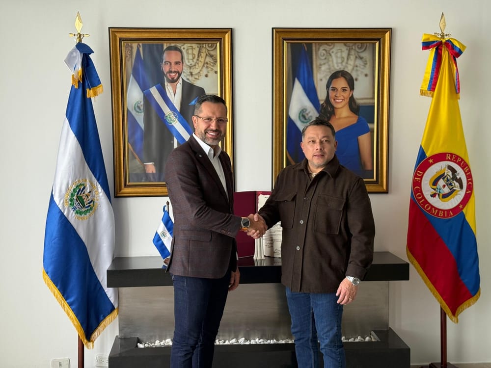 Análisis de metas de cooperación en materia de seguridad ciudadana imagen de la publicación