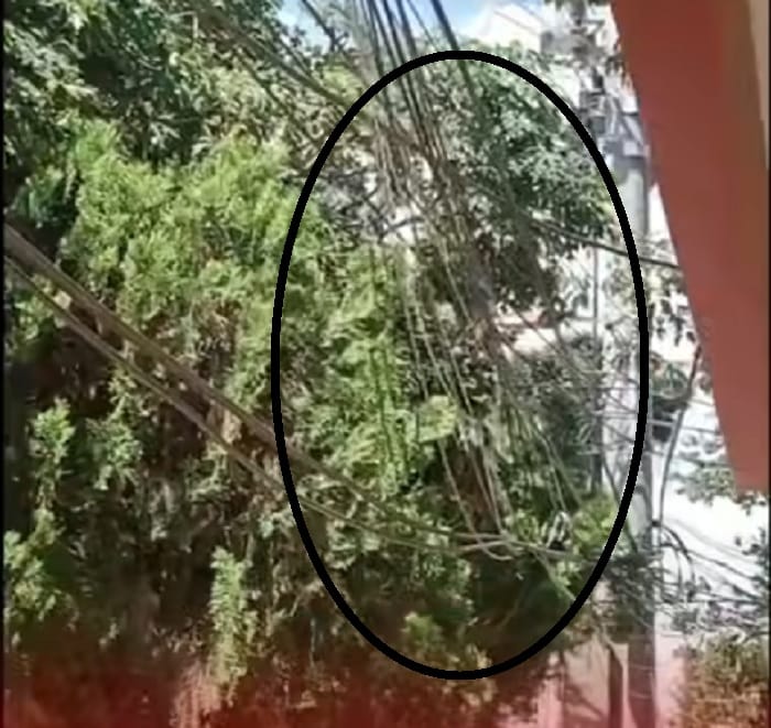 Brisas del Campo enfrenta riesgo por cables peligrosos en vía pública imagen de la publicación