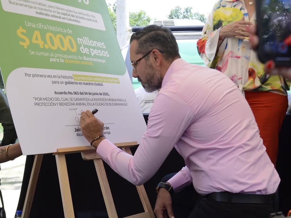 Gran inversión en Bucaramanga para protección de los ‘peluditos’ imagen de la publicación