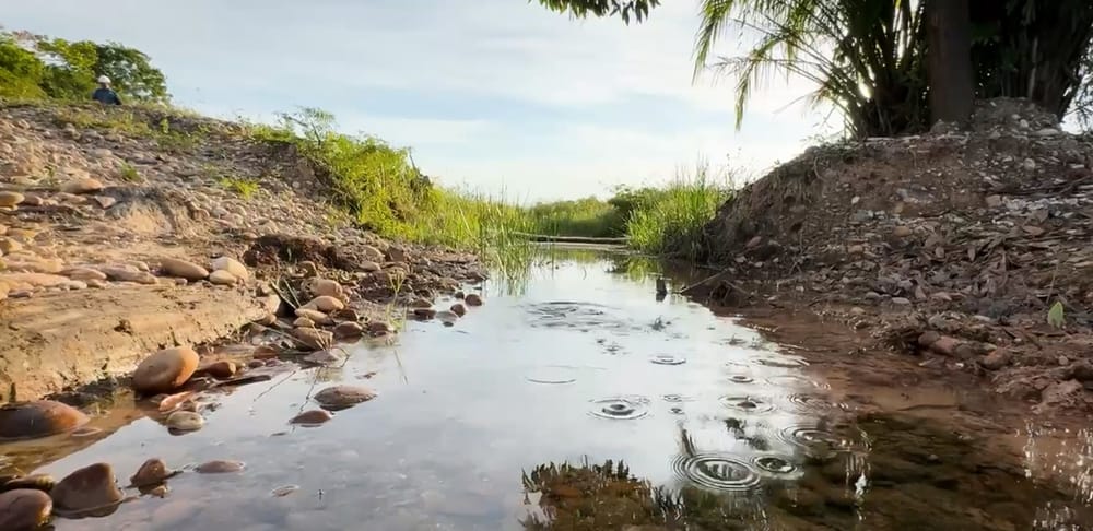 Ecopetrol alerta sobre posible afectación ambiental tras medida preventiva impuesta en El Llanito imagen de la publicación