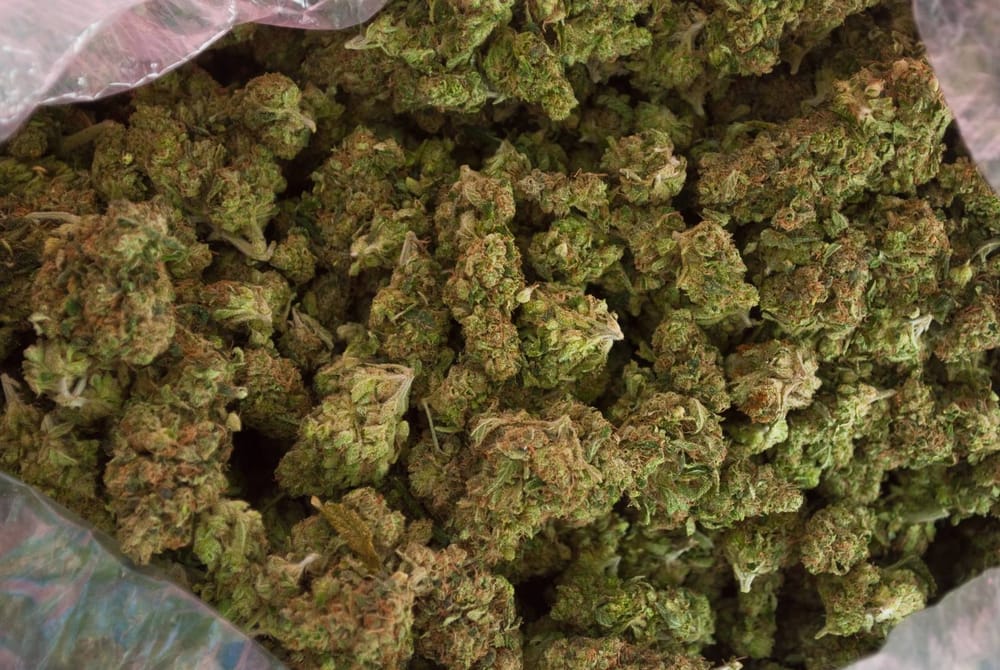 Incautados en Santander más de 680 kilos de marihuana en camioneta particular imagen de la publicación