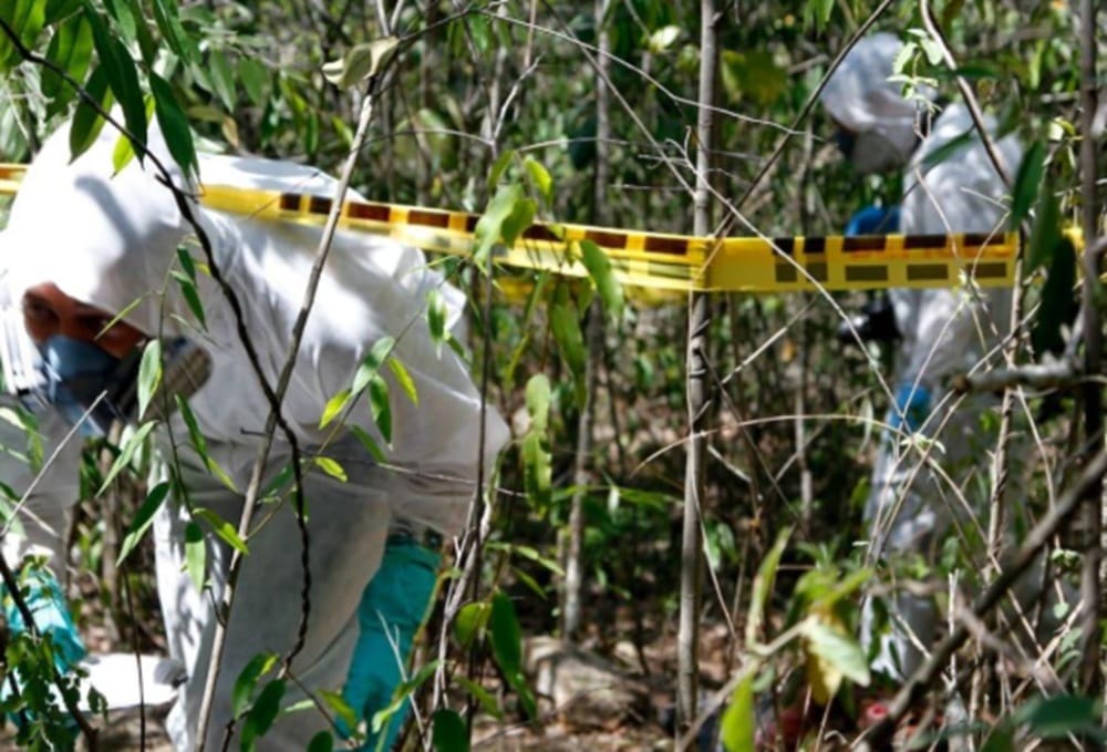 Investigan asesinato de un hombre en zona boscosa de Floridablanca imagen de la publicación