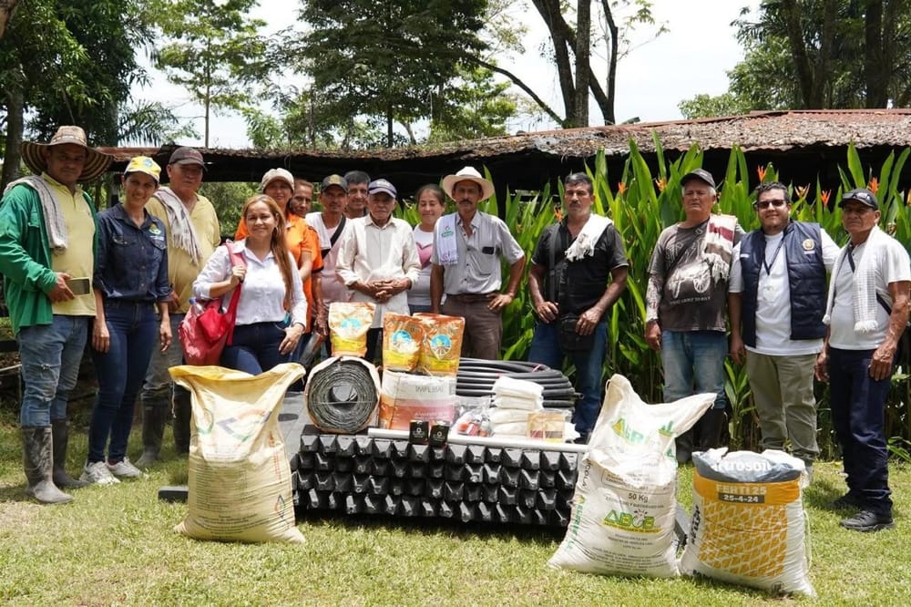 Reforestación para recuperar terrenos para ganadería en Cimitarra imagen de la publicación
