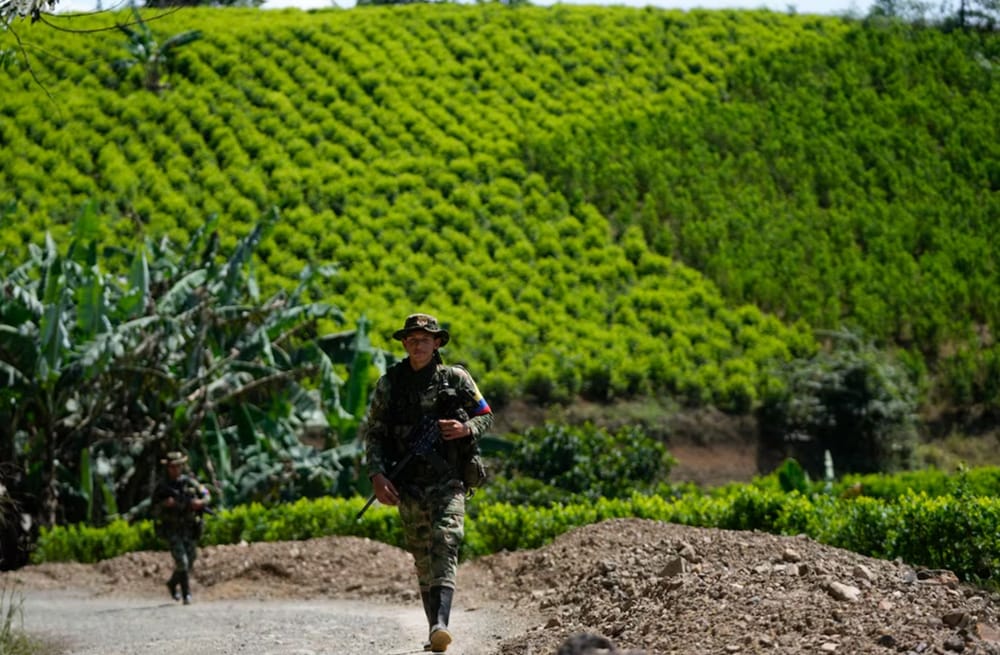 Estados Unidos desertificó a Colombia en cuanto a la lucha contra las drogas imagen de la publicación