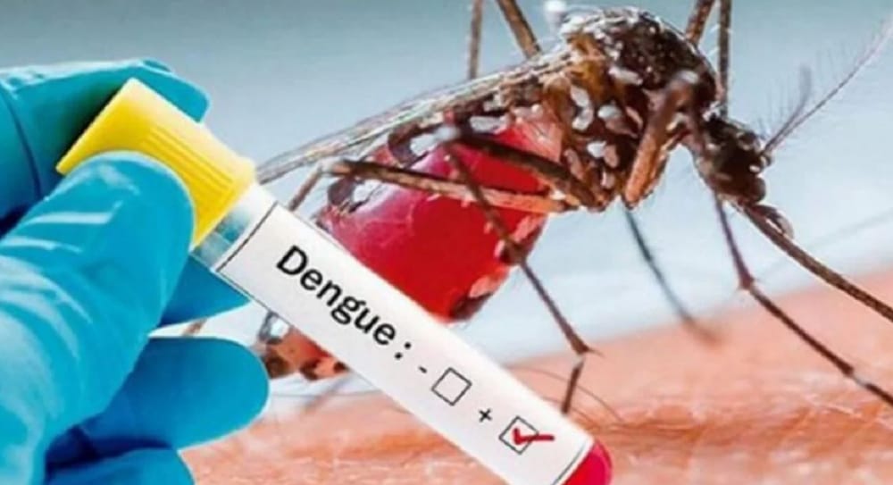 Santander reporta 8.800 casos de dengue y van siete fallecidos imagen de la publicación