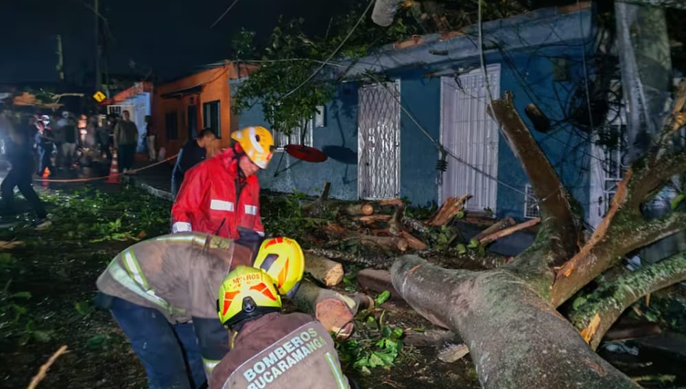 Familia clama ayuda porque árbol destruyó su vivienda en Morrorico imagen de la publicación