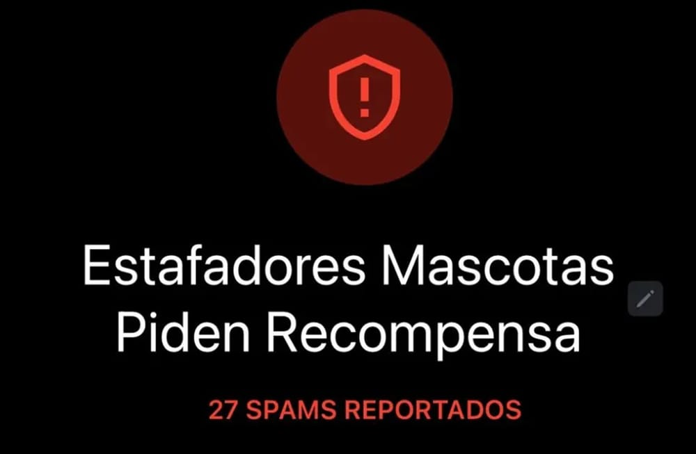 Delincuentes estafan con mascotas perdidas y exigen altas sumas de dinero imagen de la publicación