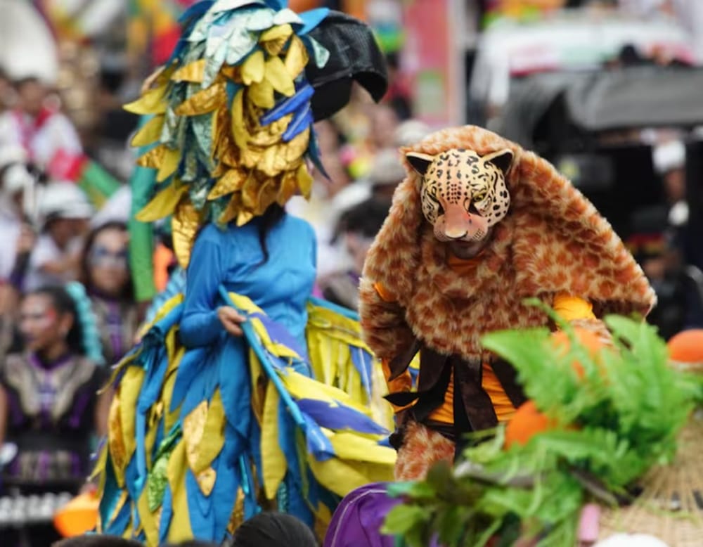 Desfile de los Picos de Oro es el evento Magno de la Feria Bonita de Colombia 2025 en Bucaramanga imagen de la publicación