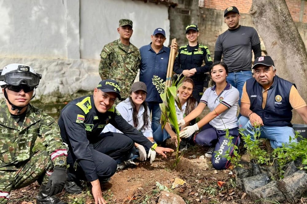 Reforestación masiva en Santander para soluciones ambientales imagen de la publicación