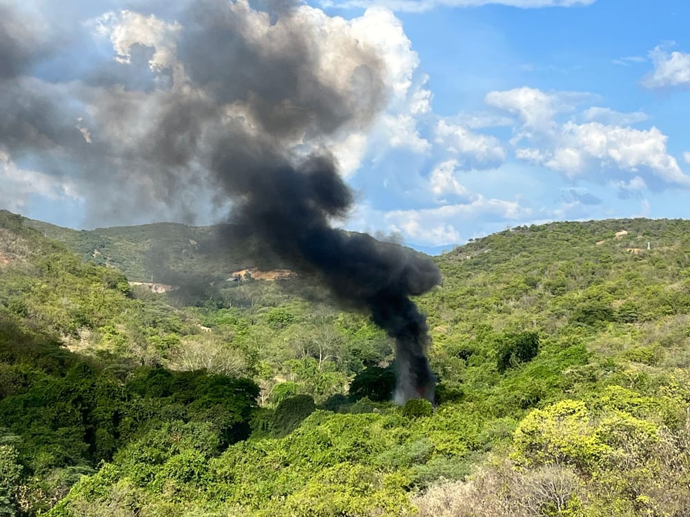 Destruyen 140 kilos de coca en Norte de Santander pertenecientes al ELN imagen de la publicación