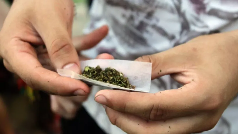 Tribunal frenó en seco decreto antidrogas de la Alcaldía Beltrán imagen de la publicación