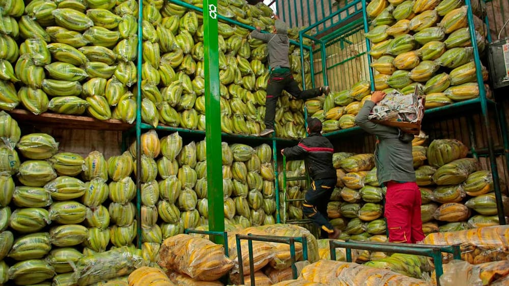 Abastecimiento de alimentos en Colombia crece 10,6 % en septiembre imagen de la publicación