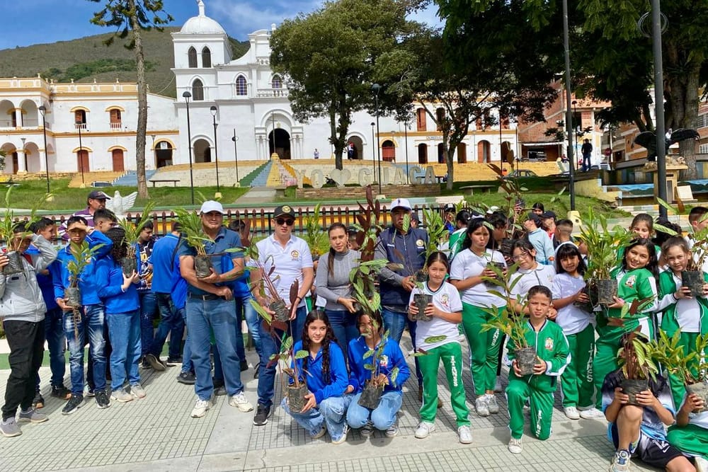 Jornada de reforestación para  recuperar las Ciénagas Brava y Sábalo en Barrancabermeja imagen de la publicación