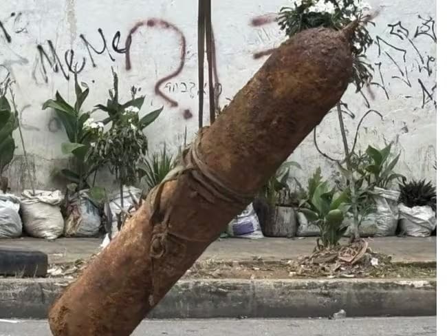 Cilindro abandonado ocasionó intoxicación masiva en Bucaramanga imagen de la publicación