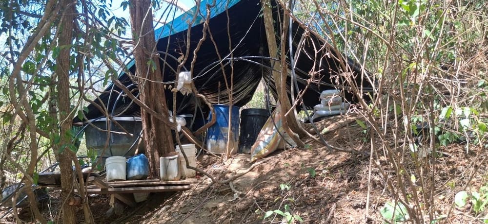 Desmantelada 'cocina' de cocaína en Norte de Santander imagen de la publicación