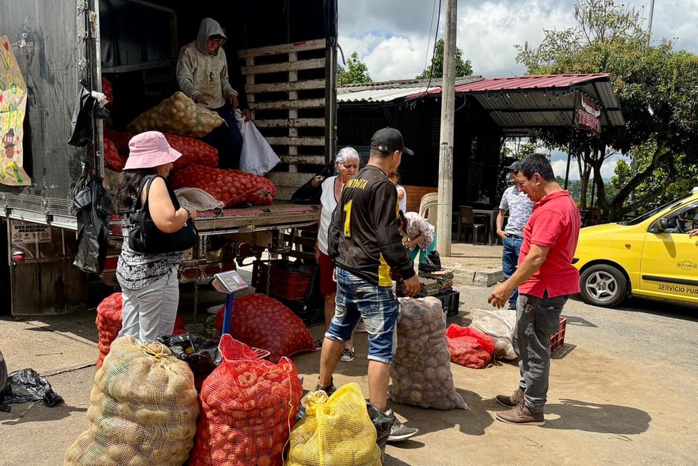 Hasta agotar existencias entregarán 105 toneladas de papa en Área Metropolitana imagen de la publicación