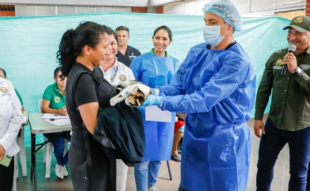 Campaña gratis para esterilizar a los ‘peluditos’ en Piedecuesta imagen de la publicación
