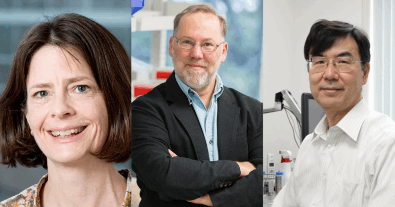 Tres científicos reciben Nobel de Medicina 2025 imagen de la publicación