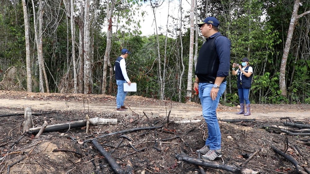 Recuperan terreno y acaban con tala de bosque nativo  en Barrancabermeja imagen de la publicación