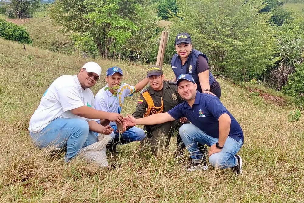 Reforestación masiva en Barrancabermeja promovida por la Secretaria Medioambiental de Santander imagen de la publicación