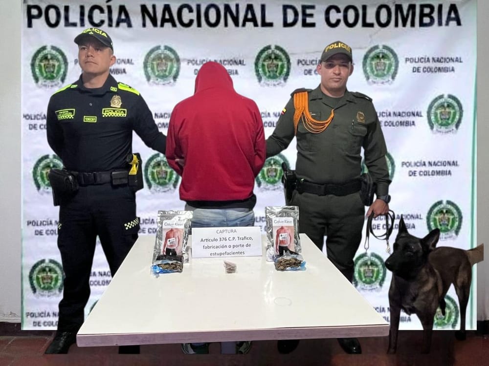 Detienen a joven con más de 260 dosis de marihuana en vía Cúcuta- Bucaramanga imagen de la publicación