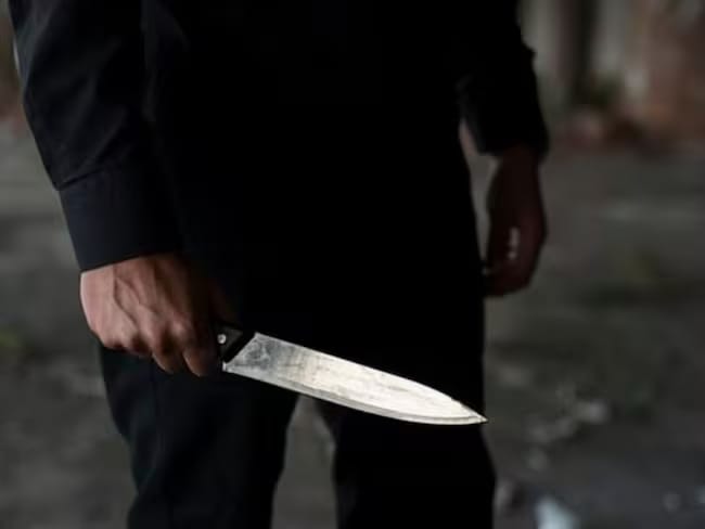 Esclarecen crimen en Santander: judicializado hombre que asesinó de 30 puñaladas a su vecina imagen de la publicación