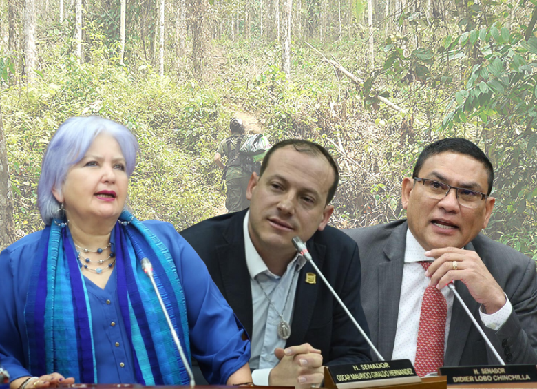 Senadora santandereana defendió a Petro tras muerte de menores en un bombardeo del EJército imagen de la publicación
