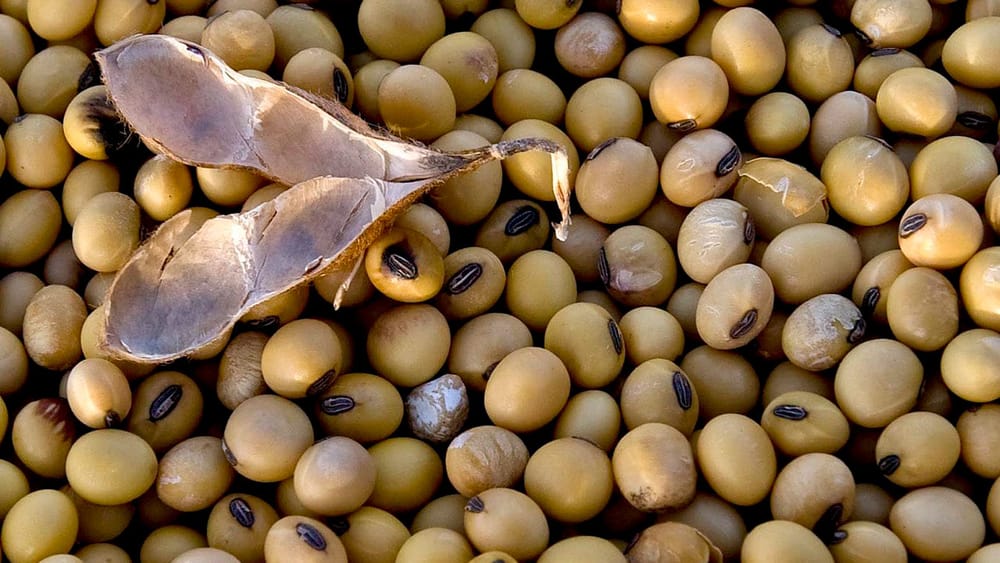 Cero aranceles a importación de insumos para sector agropecuario imagen de la publicación