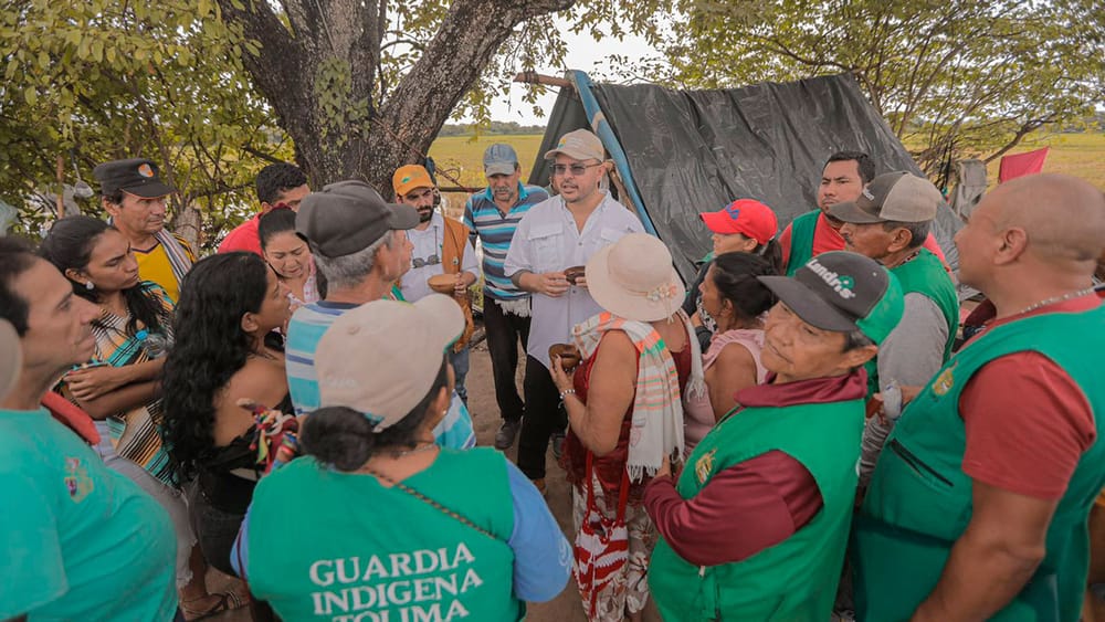 360 hectáreas del narcotráfico pasaron  a manos campesinas e indígenas imagen de la publicación