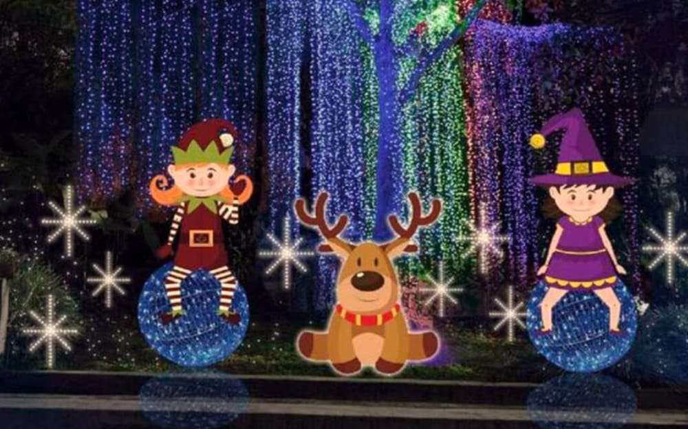 Alcalde (d) ordena revisión sobre contrato de alumbrado navideño imagen de la publicación