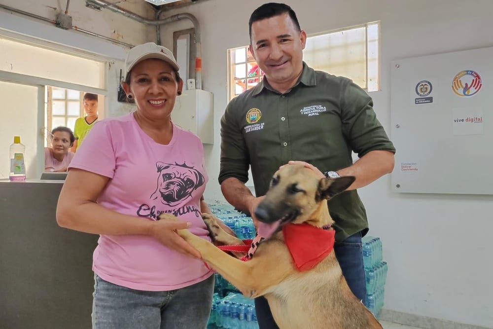Atención al bienestar animal en Ocamonte con una jornada de esterilizaciones imagen de la publicación