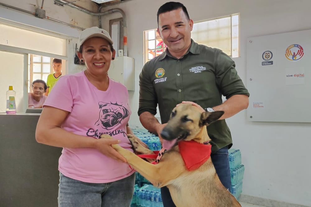 Ocamonte recibió masiva jornada de esterilización imagen de la publicación