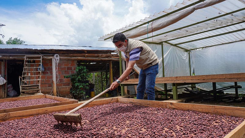 Cierre de la Troncal del Carare afecta gravemente a los cacaocultores de Santander imagen de la publicación