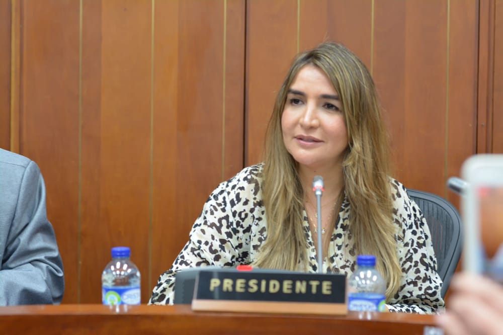 Renuncia en el Conservatismo reconfigura el rumbo del partido imagen de la publicación