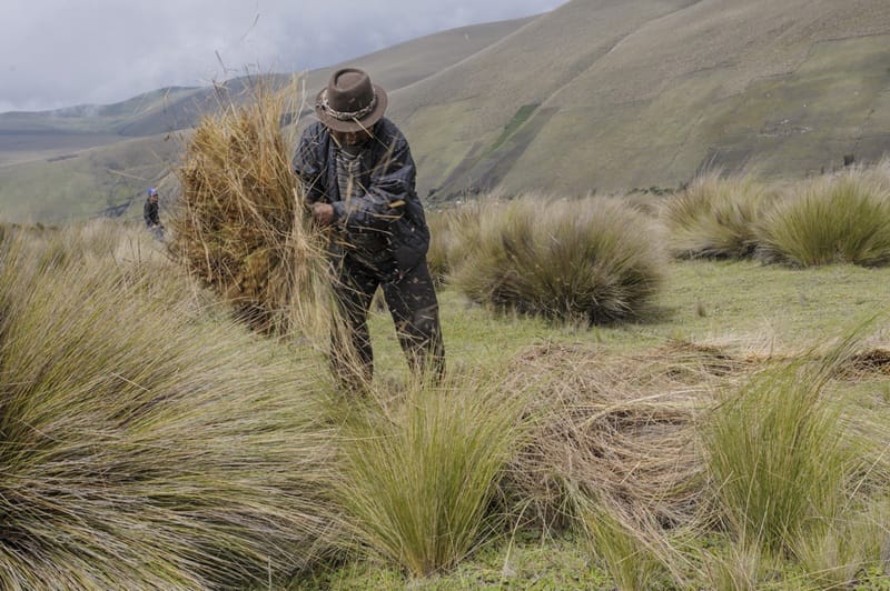 Procurador pidió al gobierno asumir la responsabilidad del cuidado de los páramos imagen de la publicación