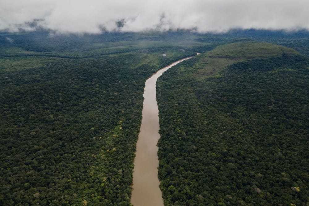 Balance ambiental: menos tala, más retos en la Amazonía imagen de la publicación