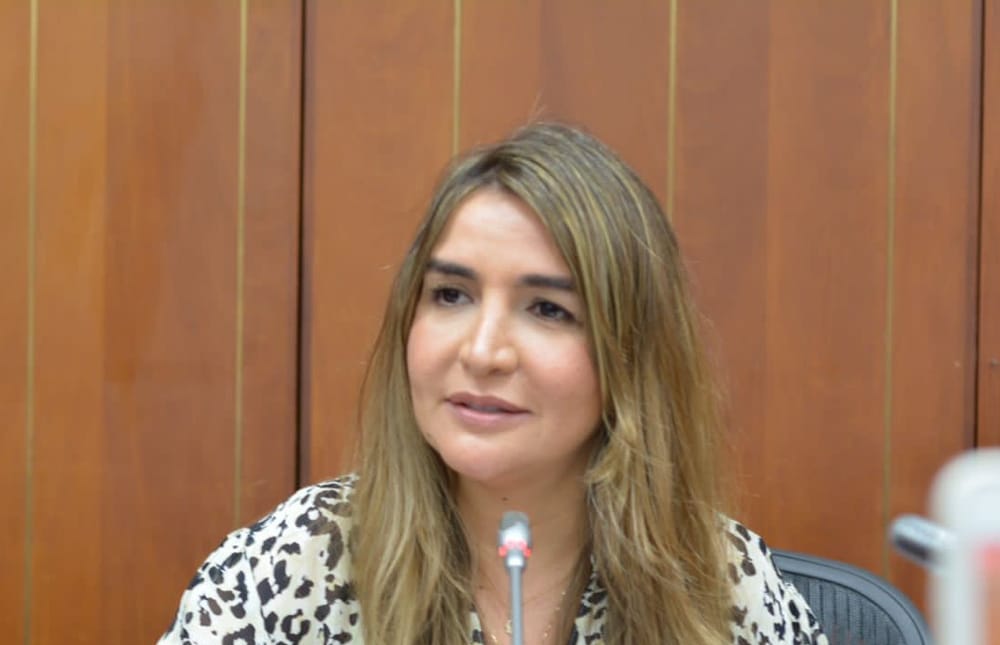 Senadora Nadia Blel renunció a presidencia del Partido Conservador imagen de la publicación