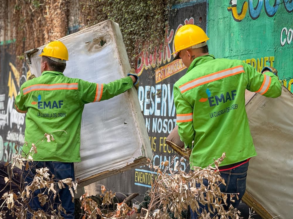 ‘Cuadrilla del Orden’ trabaja para erradicar ‘carrascos’ en la 'Ciudad Dulce' imagen de la publicación