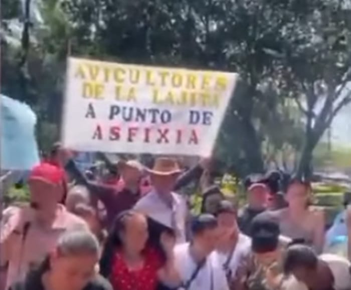 Avilcultores de Villanueva regalaron huevos porque trabajan a pérdida imagen de la publicación