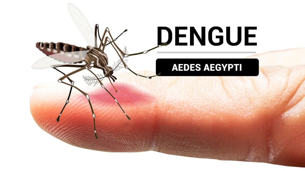 Dengue sirgué  como tema de preocupación de salubridad en Santander imagen de la publicación