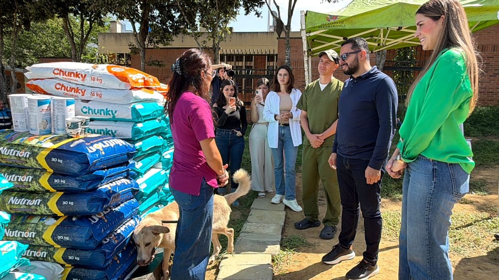 Bucaramanga destinó cerca de $70 millones para alimento de animales rescatados imagen de la publicación