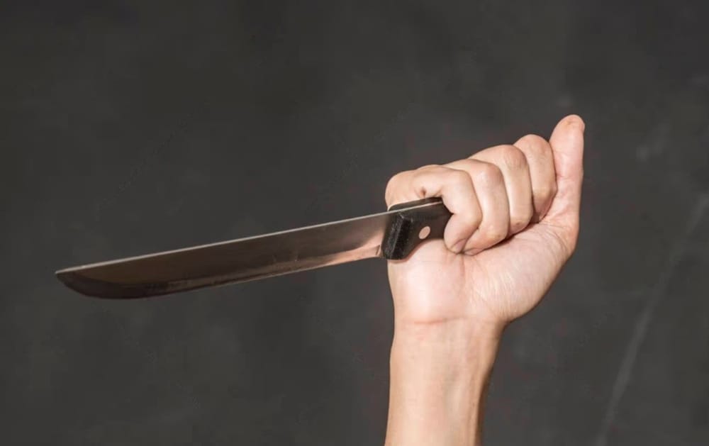“Me van a matar”: grito desesperado de profesora atacada con cuchillo por madre de familia en Sabana de Torres imagen de la publicación