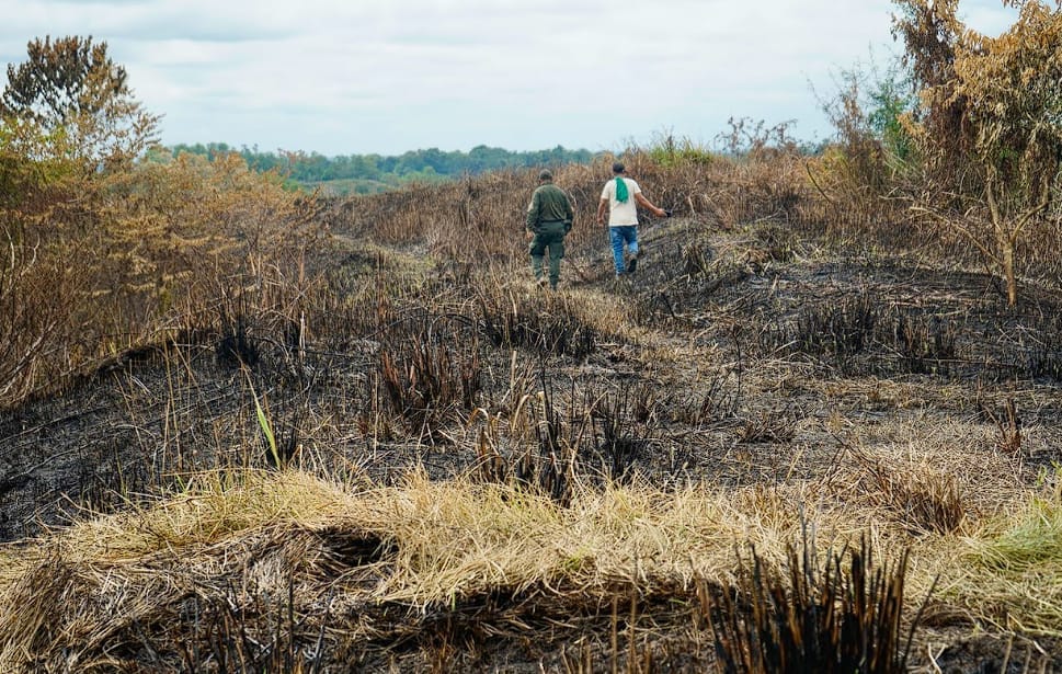 Invasores generaron incendio en zona protegida de Barrancabermeja imagen de la publicación