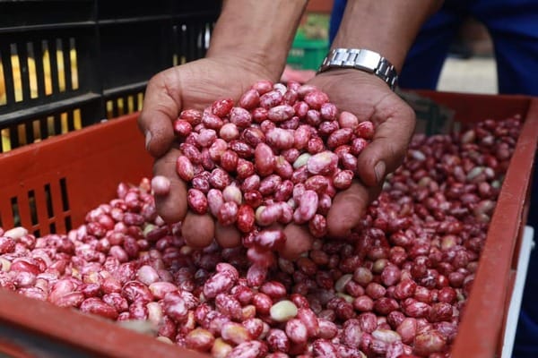 Economía circular para el campesino santandereano imagen de la publicación