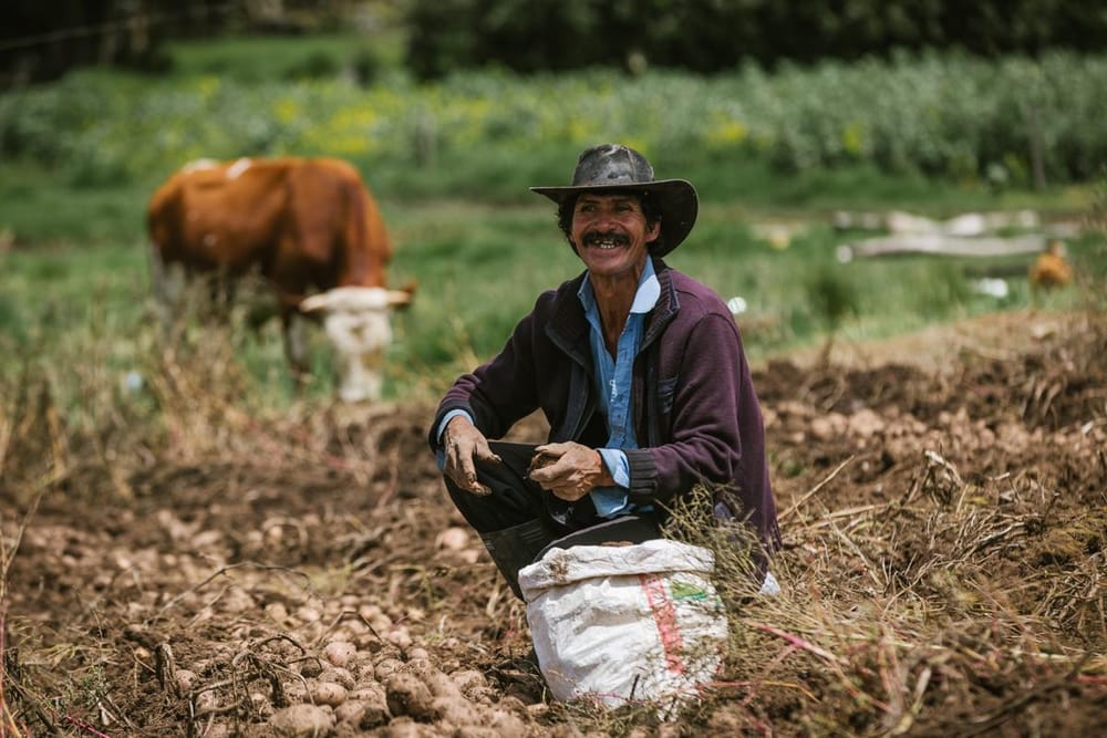 Piden a la Corte Constitucional darle el sí a la Jurisdicción Agraria imagen de la publicación