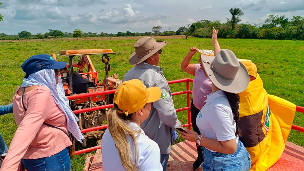 Diez predios vinculados al Clan del Golfo y a la Casa Castaño pasarán a manos campesinas imagen de la publicación
