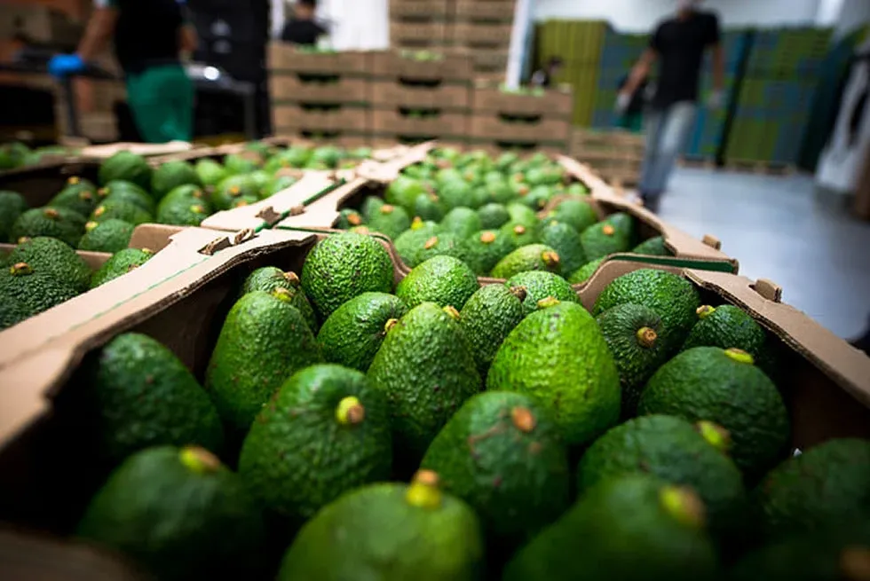 Tecnología y nuevos modelos financieros buscan democratizar el agro imagen de la publicación